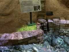 -南越王博物院(王宫展区)