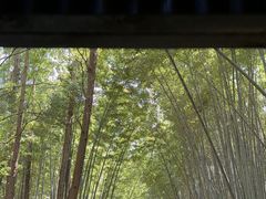 -同里国家湿地公园