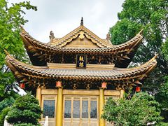 -上海东林寺(金山区)