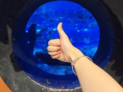 -海合安武汉极地海洋公园