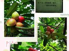 -广州神农草堂中医药博物馆