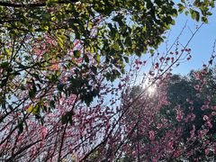 -南京市江宁方山