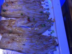 -很久以前羊肉串(打浦路店)