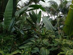 -北京植物园-展览温室