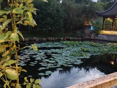 -明翠湖品·湖景餐厅