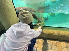 -大连圣亚海洋世界