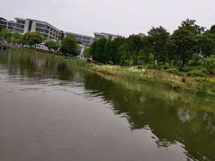 -尚贤河湿地