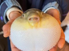 -永安鱼庄·镇江菜(东吴路店)