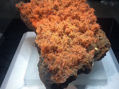 -湖南省地质博物馆