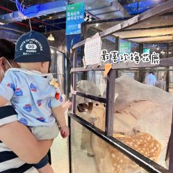 -酷嗒动物文化乐园(cutezoo西溪乐天城店)