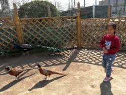 -萌宠亲子动物乐园(槐房万达店)