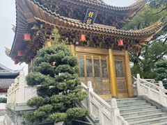 -上海东林寺(金山区)