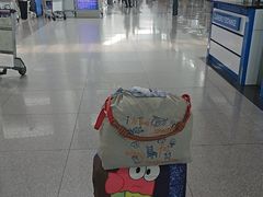 -胡志明新山一国际机场