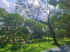 -人民公园(罗湖区)