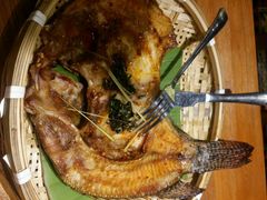 android_upload_pic-云海肴·汽锅鸡·云南菜(天津国金汇店)