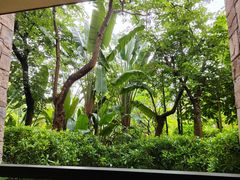 -西双版纳融创皇冠假日度假酒店