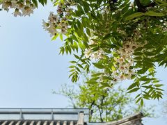 -北京石刻艺术博物馆(五塔寺)