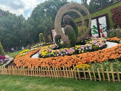 -上海共青森林公园