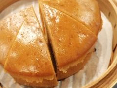 -金龙寨(龙城路店)