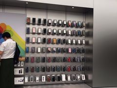 -Apple 零售店(Canton Road)