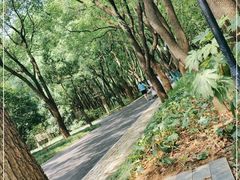 -东湖落雁景区