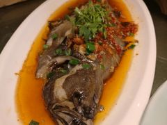 -小马哥融合菜(延安大街店)
