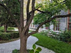 -曲阜师范大学(曲阜校区)