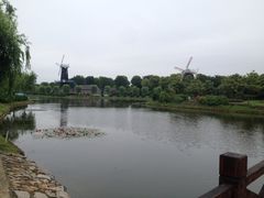iphone_upload_pic-上海鲜花港