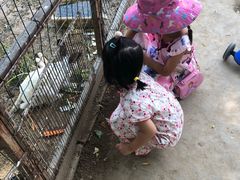 -意大利农场度假村