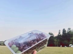 -大屏嶂森林公园