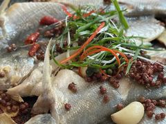 -醉壹号海鲜大排档·老厦门特色菜(厦门美食地标店)