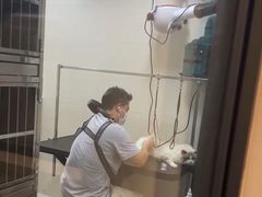 -悠尼宠物·独立低压伊珊娜洗护·美容·寄养(兰谷路店)