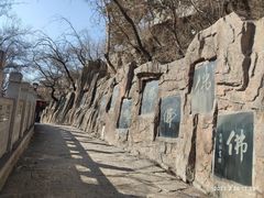 -高尔山公园