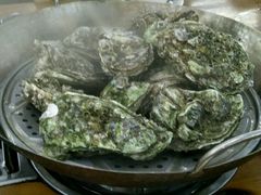 -蚝得喜海鲜(东城店)