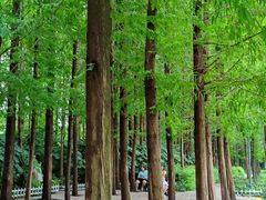 -云龙湖旅游景区