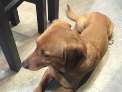 -炙热童年·老北京炙子烤肉(南锣鼓巷店)