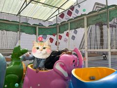 -真快乐APP体验中心(西坝河店)