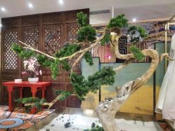 -盘子女人坊生日照·摄影馆(浦东店)
