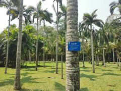 -中国科学院西双版纳热带植物园