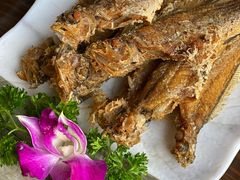 -浦江餐饮•上海菜馆(五四路店)