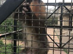 -石家庄市动物园