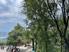 -岳麓山风景名胜区