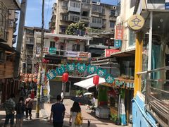 -猫咪博物馆(顶澳仔猫街店)