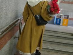 -溪岸路花鸟市场
