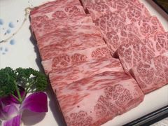 -蔡马洪涛烤肉·老北京火锅(未来科技城店)