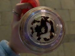-星巴克(迪士尼小镇店)