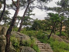 -崂山仰口游览区