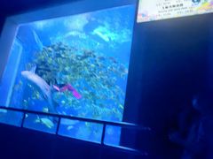 -太平洋海底世界