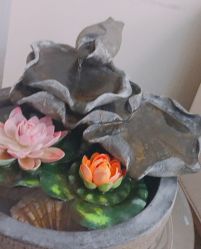 -清悦SPA美容