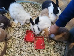 -卡通尼·Safari非洲探索乐园·生日会(金桥国际商业广场店)